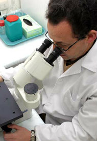 Bioquímica Bioquímica