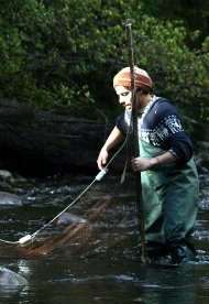 Ingeniería en Conservación de Recursos Naturales – Ingeniería Forestal Ingeniería en Conservación de Recursos Naturales – Ingeniería Forestal