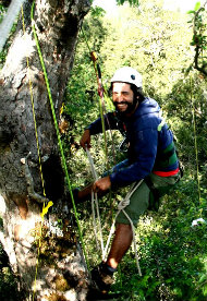 Ingeniería en Conservación de Recursos Naturales – Ingeniería Forestal Ingeniería en Conservación de Recursos Naturales – Ingeniería Forestal