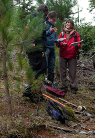 Ingeniería en Conservación de Recursos Naturales – Ingeniería Forestal Ingeniería en Conservación de Recursos Naturales – Ingeniería Forestal