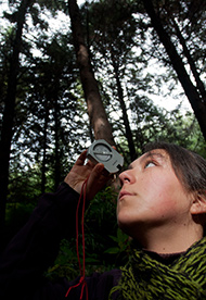 Ingeniería en Conservación de Recursos Naturales – Ingeniería Forestal Ingeniería en Conservación de Recursos Naturales – Ingeniería Forestal